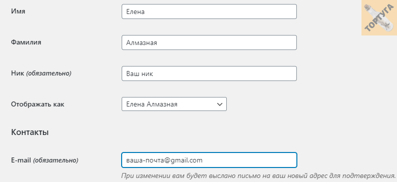 Как изменить электронную почту. Электронная почта ник. Найти свою электронную почту по фамилии и имени. Найти электронную почту по фамилии. Почта заявки в вордпресс.