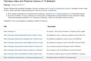 Примеры страниц при настройке обхода сайта с помощью счётчика Яндекс Метрика в Яндекс Вебмастер
